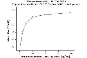 Immobilized Human VEGF165, Tag Free (MALS verified) (ABIN2181903,ABIN2693608,ABIN3071747) at 2 μg/mL (100 μL/well) can bind Mouse Neuropilin-1, His Tag (ABIN6992419) with a linear range of 2-10 ng/mL (QC tested).