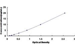 Typical standard curve (SCNN1B ELISA Kit)