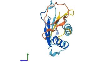 AlphaFold protein structure predicition of Human Recombinant DDTL Protein, UniprotID A6NHG4 (DDTL Protein (AA 1-134) (His tag))