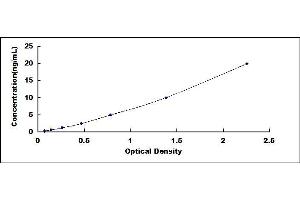 DNMT3B ELISA Kit