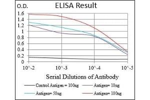 Black line: Control Antigen (100 ng), Purple line: Antigen(10 ng), Blue line: Antigen (50 ng), Red line: Antigen (100 ng),