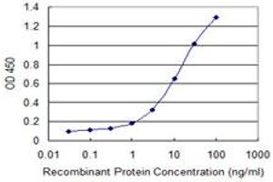 Detection limit for recombinant GST tagged DDX43 is 0. (DDX43 antibody  (AA 2-90))