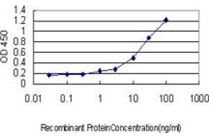 Detection limit for recombinant GST tagged ILF2 is approximately 1ng/ml as a capture antibody. (ILF2 antibody  (AA 151-250))