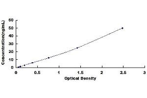 Typical standard curve