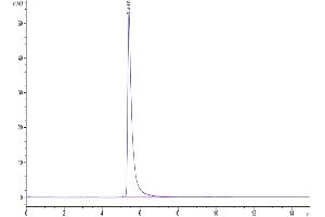 The purity of Biotinylated SARS spike S1 is greater than 95 % as determined by SEC-HPLC. (SARS-CoV-2 Spike S1 Protein (Fc-Avi Tag,Biotin))