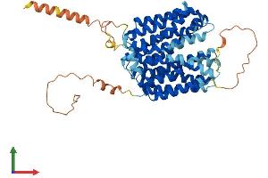 AlphaFold protein structure predicition of Mouse Recombinant Mfsd14a Protein, UniprotID P70187 (HIAT1 Protein (AA 1-490) (His tag))