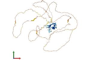 AlphaFold protein structure predicition of Human Recombinant RBMY1A1 Protein, UniprotID P0DJD3 (RBMY1A1 Protein (AA 1-496) (His tag))