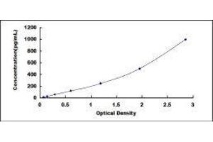 ELISA image for Laminin, gamma 2 (LAMC2) ELISA Kit (ABIN417810) (LAMC2 ELISA Kit)