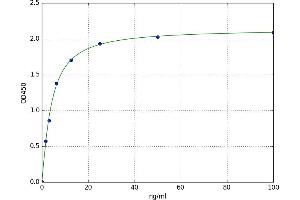 Anterior Pharynx Defective 1 Homolog A (C. Elegans) (APH1A) ELISA Kit