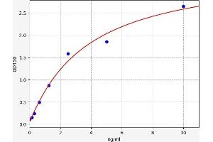 Typical standard curve (LAP3 ELISA Kit)