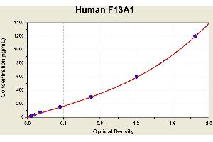 Diagramm of the ELISA kit to detect Human F13A1with the optical density on the x-axis and the concentration on the y-axis. (F13A1 ELISA Kit)