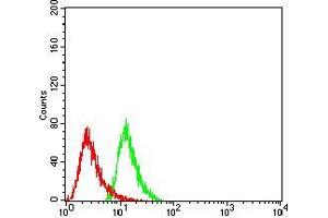 Flow cytometric analysis of Hela cells using HDAC6 mouse mAb (green) and negative control (red). (HDAC6 antibody  (AA 482-800))