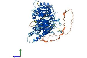 AlphaFold protein structure predicition of Mouse Recombinant LRWD1 Protein, UniprotID Q8BUI3 (LRWD1 Protein (AA 1-648) (His tag))