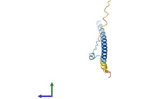 AlphaFold protein structure predicition of Human Recombinant SNAPC5 Protein, UniprotID O75971 (SNAPC5 Protein (AA 1-98) (His tag))