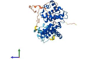 AlphaFold protein structure predicition of Mouse Recombinant Ccno Protein, UniprotID P0C242