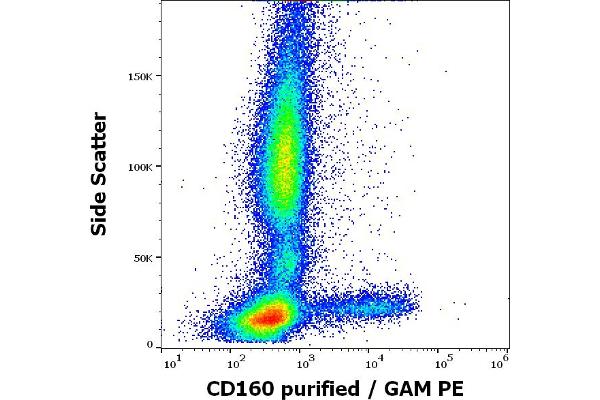 CD160 antibody