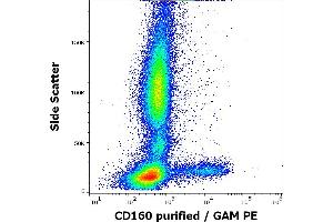 Flow cytometry surface staining pattern of human peripheral whole blood stained using anti-human CD160 (BY55) purified antibody (concentration in sample 5 μg/mL, GAM PE).
