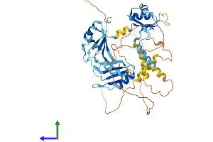 AlphaFold protein structure predicition of Human Recombinant CELF1 Protein, UniprotID Q92879