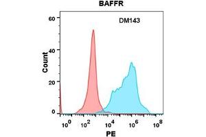 Flow cytometry analysis with Anti-BAFFR (DM143) on Expi293 cells transfected with human BAFFR (Blue histogram) or Expi293 transfected with irrelevant protein (Red histogram).