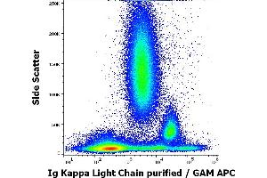 Flow cytometry surface staining pattern of human peripheral whole blood stained using anti-human Ig Kappa Light Chain (TB28-2) purified antibody (concentration in sample 0. (kappa Light Chain antibody)