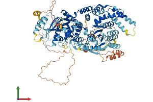 AlphaFold protein structure predicition of Human Recombinant URGCP Protein, UniprotID Q8TCY9 (URGCP Protein (AA 1-931) (His tag))
