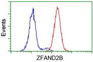Image no. 2 for anti-Zinc Finger, AN1-Type Domain 2B (ZFAND2B) antibody (ABIN1501804) (ZFAND2B antibody)