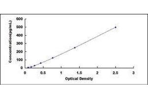 ELISA image for Interleukin 17F (IL17F) ELISA Kit (ABIN416867) (IL17F ELISA Kit)