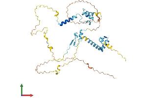 AlphaFold protein structure predicition of Human Recombinant FAM47E Protein, UniprotID Q6ZV65 (FAM47E Protein (AA 1-393) (His tag))