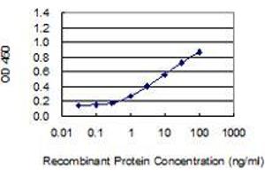 Detection limit for recombinant GST tagged SLC9A9 is 0. (SLC9A9 antibody  (AA 71-126))