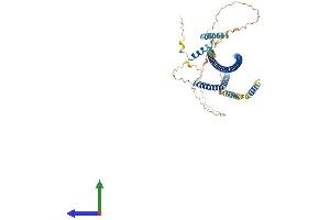AlphaFold protein structure predicition of Mouse Recombinant Traf3ip3 Protein, UniprotID Q8C0G2 (TRAF3IP3 Protein (AA 1-513) (His tag))