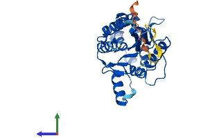 Protein Structure (PS) image for Phosphatase, Orphan 1 (PHOSPHO1) (AA 1-267) protein (His tag) (ABIN7550700)