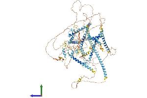 AlphaFold protein structure predicition of Mouse Recombinant Cspp1 Protein, UniprotID B2RX88 (CSPP1 Protein (AA 1-1205) (His tag))