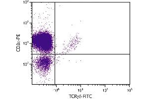 CD-1 mouse mesenteric lymph node cells were stained with Hamster Anti-Mouse TCRγδ-FITC. (TCRgd antibody (FITC))