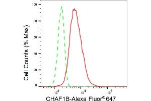 Flow cytometric analysis of CHAF1B expression in HT- cells using CHAF1B antibody (ABIN7798060), 1:2,000).
