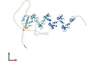 AlphaFold protein structure predicition of Human Recombinant ZNF182 Protein, UniprotID P17025