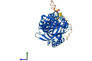 AlphaFold protein structure predicition of Mouse Recombinant Serpinb10 Protein, UniprotID Q8K1K6