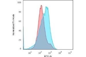 Flow Cytometric Analysis of paraformaldehyde-fixed HepG2 cells using SUMO-2/3 Mouse Monoclonal Antibody (SM23/496) followed by goat anti- Mouse- IgG-CF488 (Blue); Isotype Control (Red). (SUMO2 antibody)