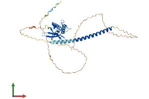 AlphaFold protein structure predicition of Mouse Recombinant Snx16 Protein, UniprotID Q8C080 (SNX16 Protein (AA 1-344) (His tag))