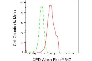 Flow cytometric analysis of XPD expression in HeLa cells using XPD antibody (ABIN7798540), 1:2,000).