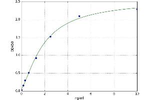 A typical standard curve (OCT4 ELISA Kit)