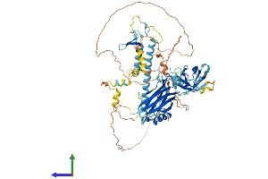 AlphaFold protein structure predicition of Mouse Recombinant Sytl4 Protein, UniprotID Q9R0Q1 (SYTL4 Protein (AA 1-673) (His tag))
