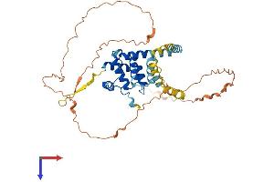AlphaFold protein structure predicition of Human Recombinant SPDYE2 Protein, UniprotID Q495Y8 (SPDYE2 Protein (AA 1-402) (His tag))