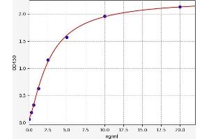 GATA4 ELISA Kit