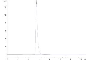 The purity of Human/Cynomolgus/Rhesus macaque ROR1 is greater than 95 % as determined by SEC-HPLC.