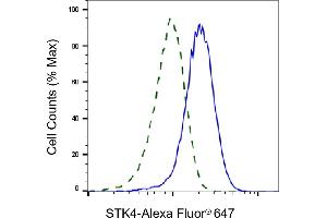 Flow cytometric analysis of STK4 expression in HepG2 cells using STK4 antibody (ABIN7800314), 1:2,000).