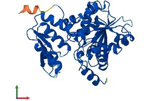 AlphaFold protein structure predicition of Mouse Recombinant Sdsl Protein, UniprotID Q8R238 (SDSL Protein (AA 1-329) (His tag))