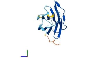 AlphaFold protein structure predicition of Human Recombinant GRIFIN Protein, UniprotID A4D1Z8