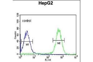 TESC Antibody (C-term) (ABIN651329 and ABIN2840191) flow cytometric analysis of HepG2 cells (right histogram) compared to a negative control cell (left histogram). (Tescalcin antibody  (C-Term))