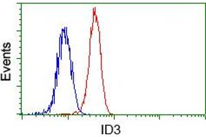 Flow cytometric analysis of Hela cells, using anti-ID3 antibody (ABIN2453162), (Red) compared to a nonspecific negative control antibody (TA50011) (Blue). (ID3 antibody)