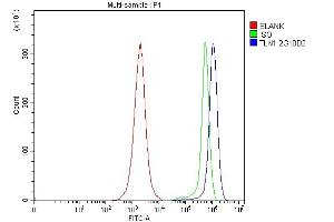 Flow Cytometry analysis of JK cells using anti-TLN1 antibody (ABIN7600228).